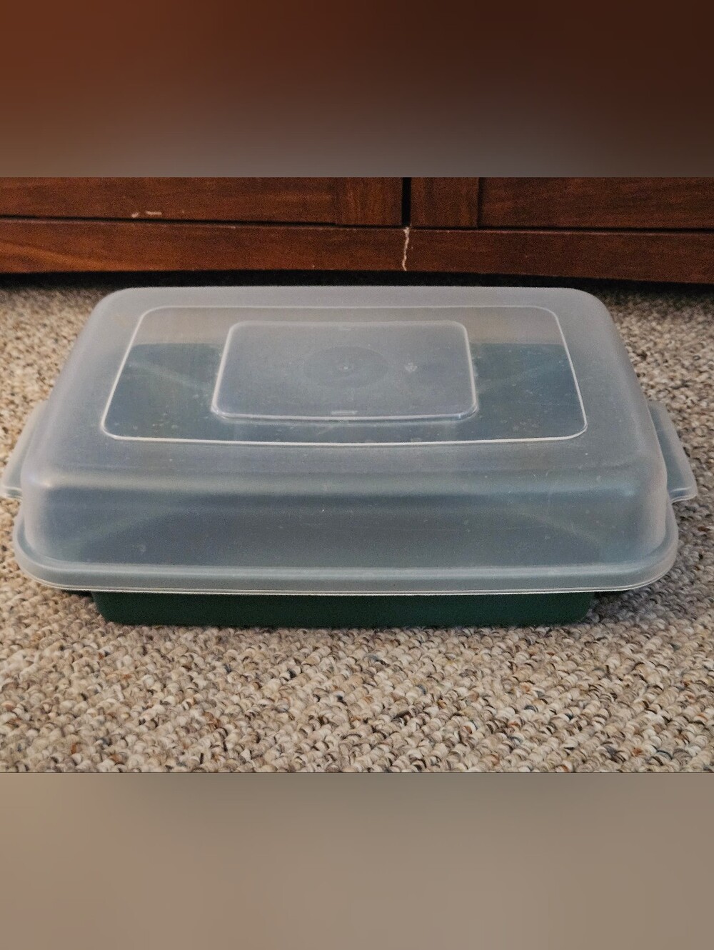 Rubbermaid Green Servin' Saver